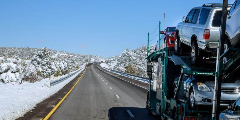 top-load-for-snowbird-route Classic & Exotic Car Shipping Image